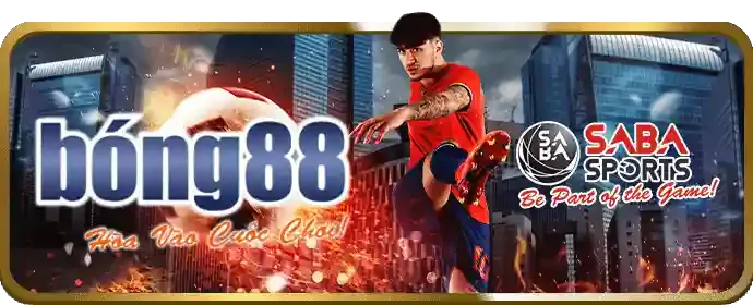 Liên hệ hỗ trợ xbet chính thức